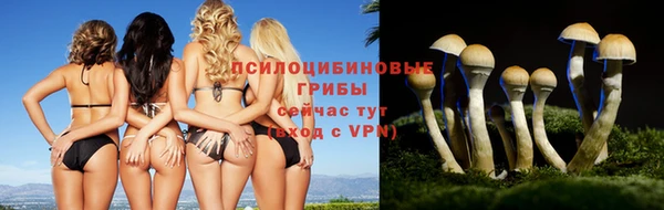 альфа пвп Навашино