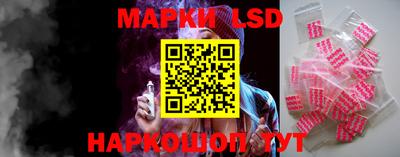мяу мяу мука Гатчина