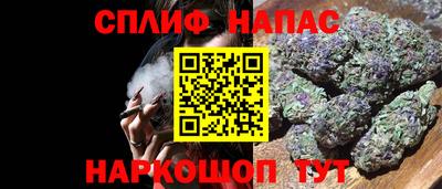 мяу мяу мука Гатчина