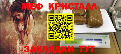 мяу мяу мука Гатчина