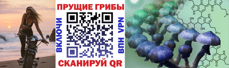 hydra рабочий сайт  Усолье-Сибирское  Галлюциногенные грибы мицелий 