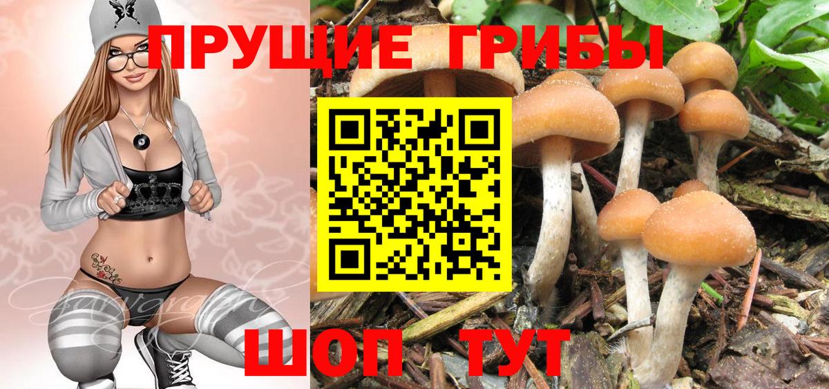 Усолье-Сибирское  Псилоцибиновые грибы Psilocybine cubensis  Вход с VPN 