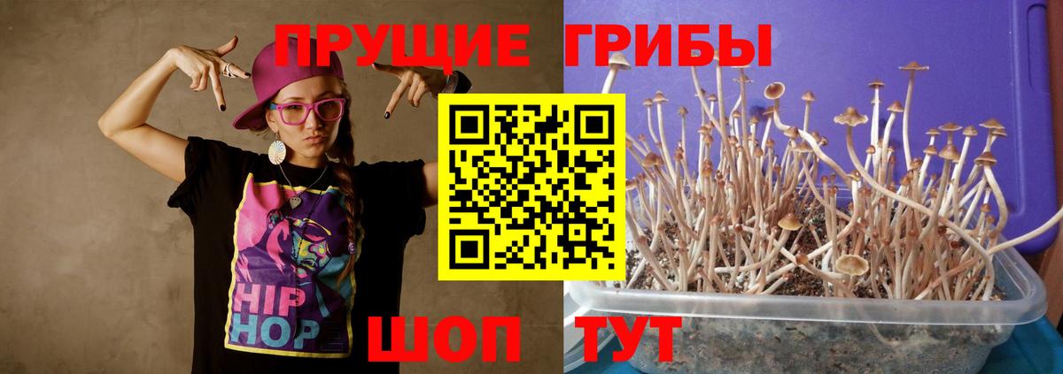 Псилоцибиновые грибы Psilocybine cubensis Усолье-Сибирское